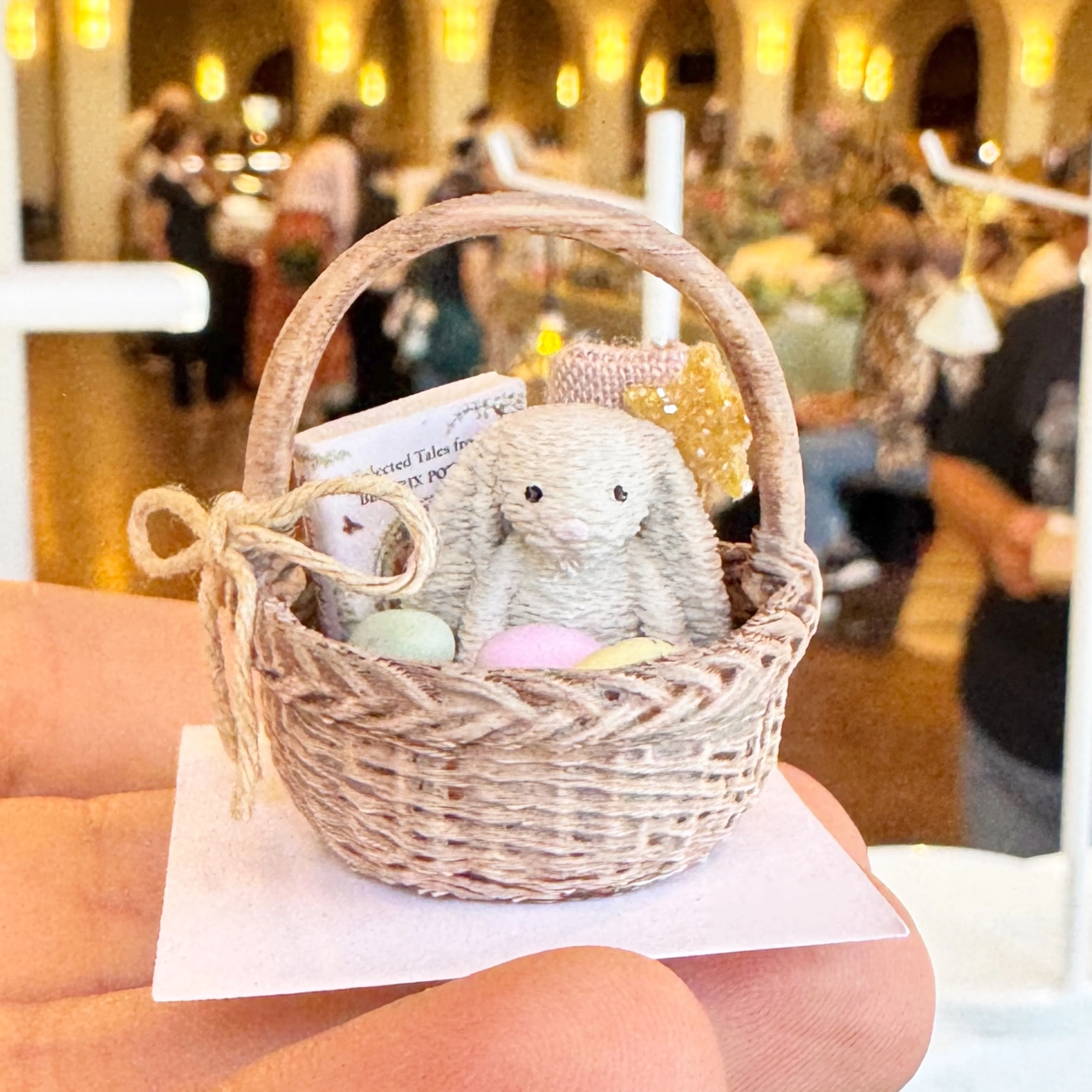 Small Wonders, Big Adventures